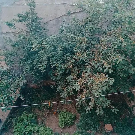 Deniz Manzarali Mustakil Ev Aybalik Ayvalı