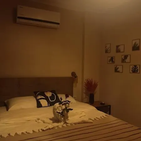 Deniz Manzarali Mustakil Ev Aybalik *